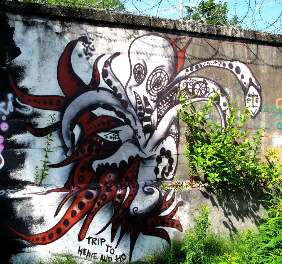 2007 07 09 010-1