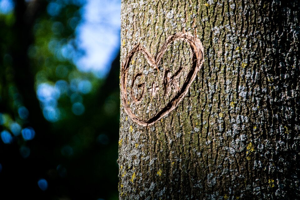 Carving love romance