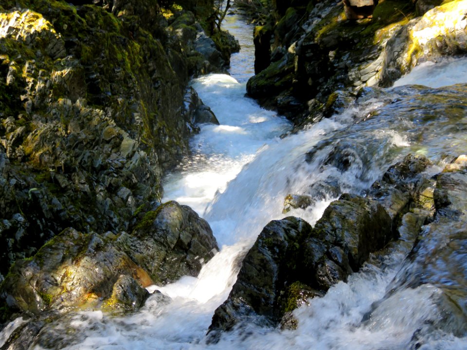 Opal Creek Wilderness in Oregon