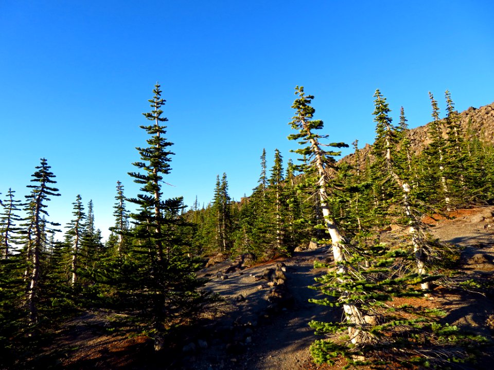 Mt. St. Helens Summit Trail in WA