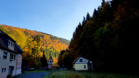 Herbst im Röthengrund 11