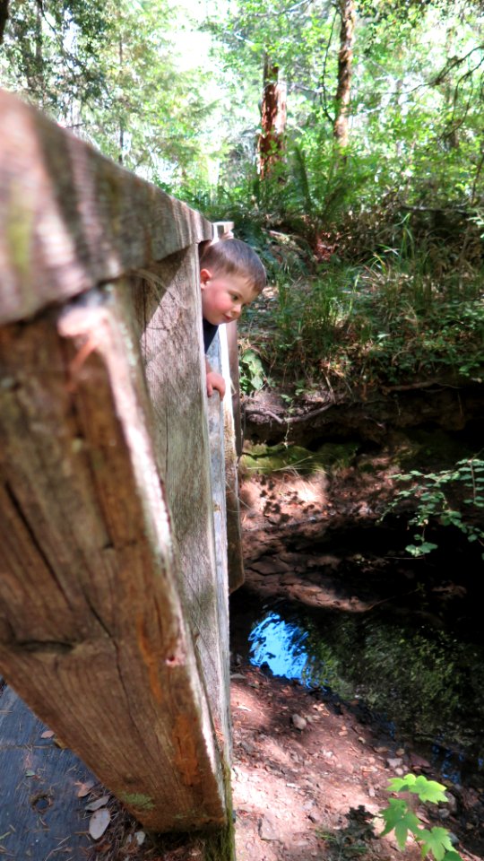 Exploring Wailaki Campground