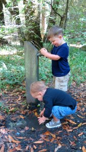 Exploring Wailaki Campground