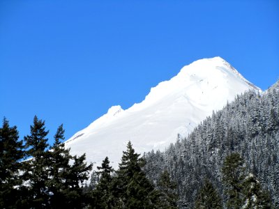 Mt. Hood in OR