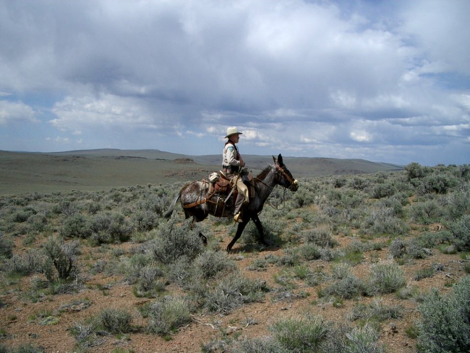 Bureau of Land Management Law Enforcement