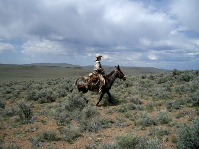 Bureau of Land Management Law Enforcement