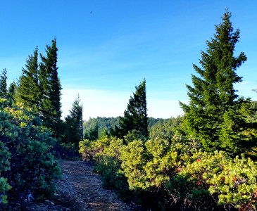 Hidden Valley Quest