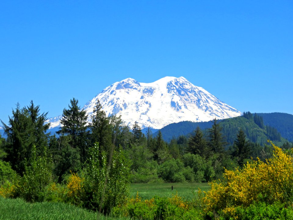 Mt. Rainier in Washington photo