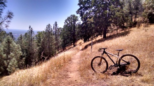Mule Ridge Trails
