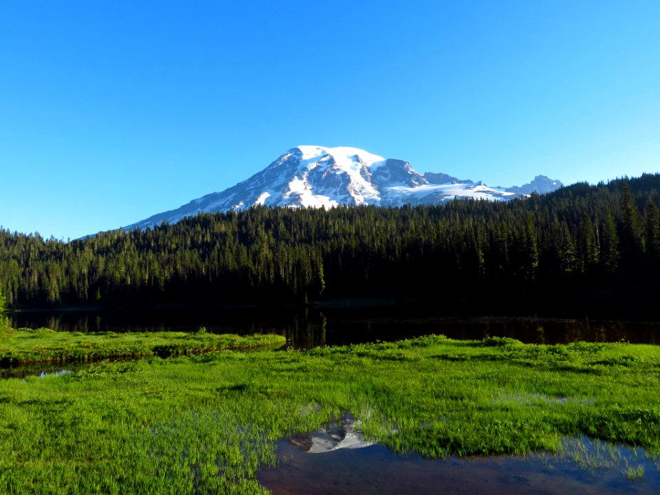Reflection Lake at Mt. Rainier NP in WA