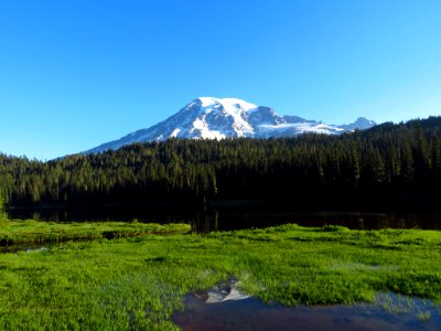 Reflection Lake at Mt. Rainier NP in WA