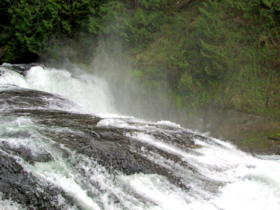 Lower Lewis River Falls Trail in WA