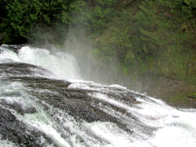 Lower Lewis River Falls Trail in WA