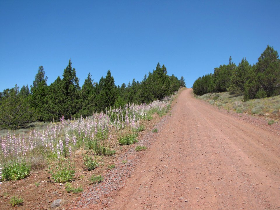 Surprise Valley Barrel Springs Back-Country Byway