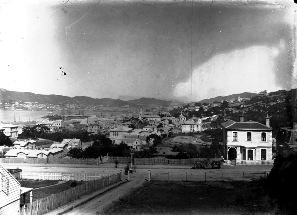 52; Hill Street from Selwyn Terrace hill, with Lambton in the background - Circa 1880
