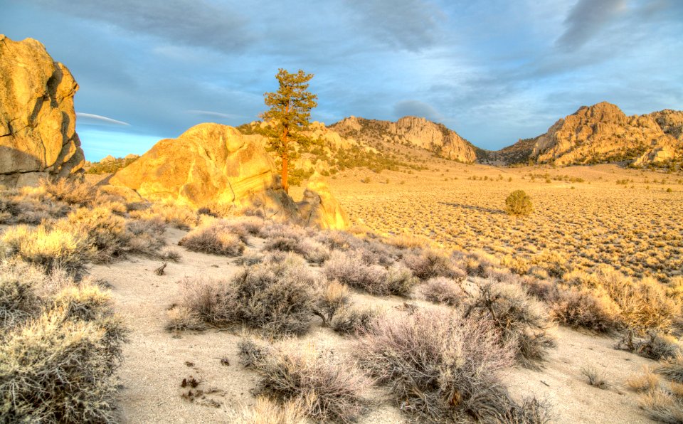 Granite Mountain Wilderness