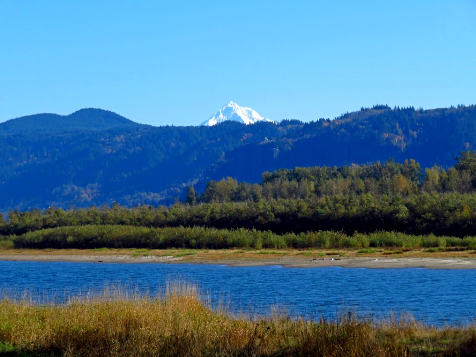 Mt. Hood at Steigerwald Lake NWR in WA