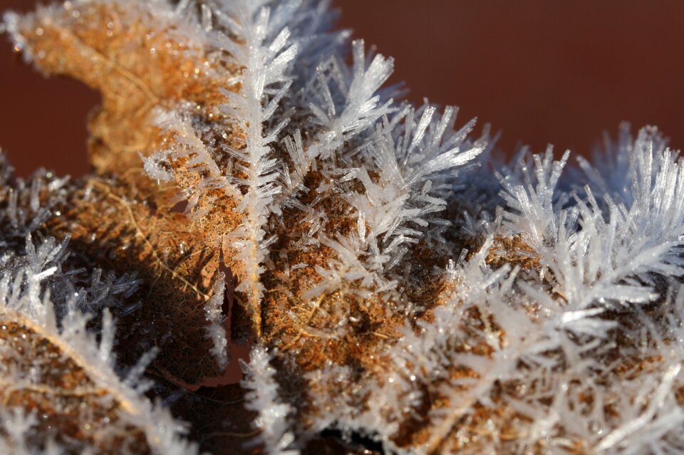 Eiskristalle winter cold
