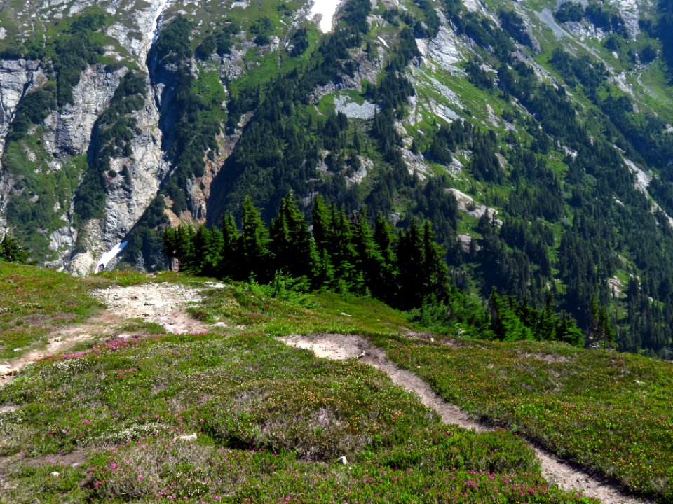 Cascade Pass at North Cascades NP in WA
