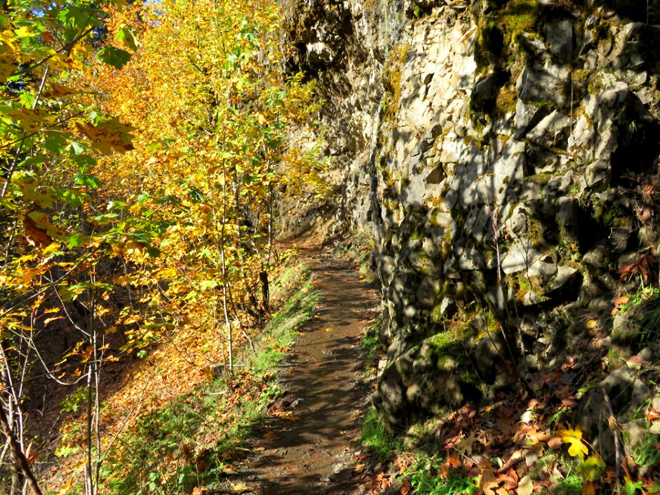 Eagle Creek Trail in Oregon