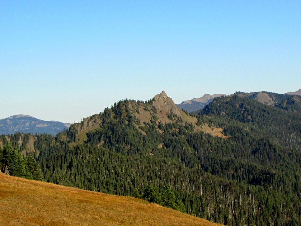 Hurricane Ridge at Olympic NP in WA