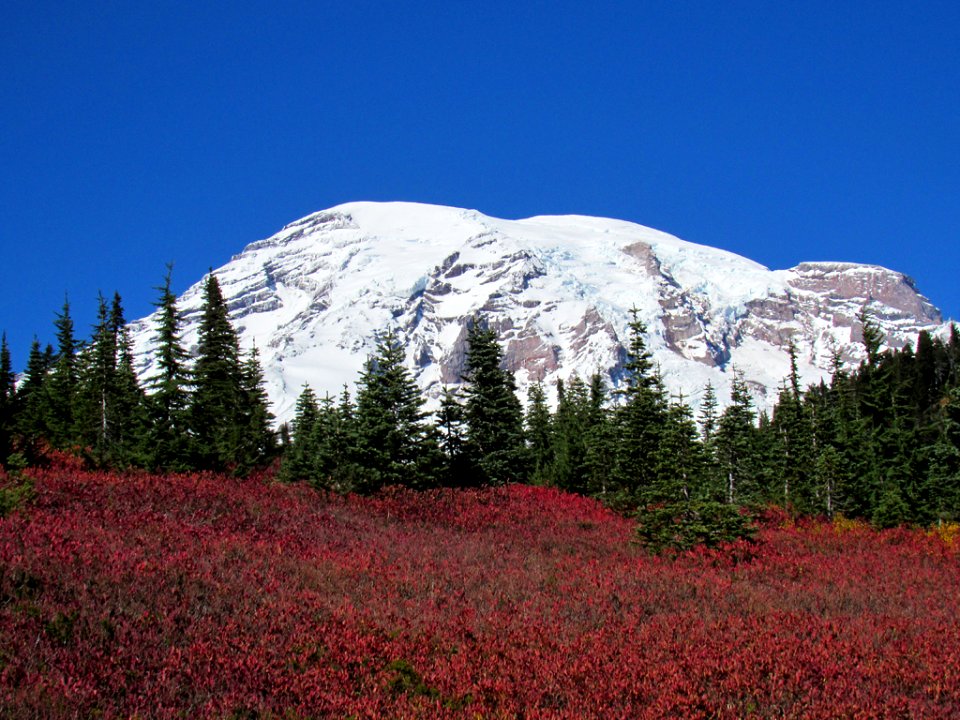 Autumn at Skyline Trail at Mt. Rainier NP in WA