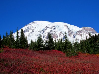 Autumn at Skyline Trail at Mt. Rainier NP in WA photo