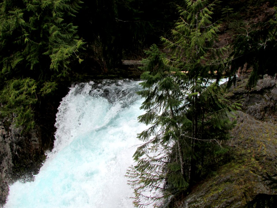 Waterfall at McKenzie River Trail in Central OR
