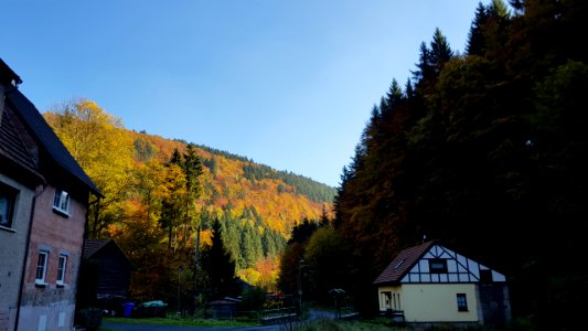 Herbst im Röthengrund 09