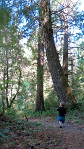 Exploring Wailaki Campground