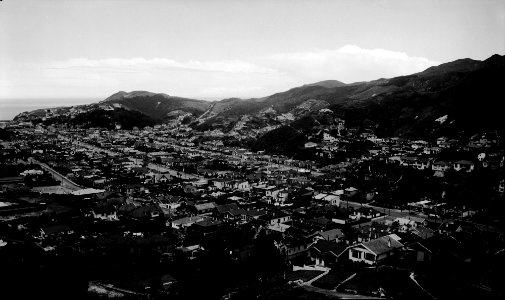 461; Island Bay, from above Erskine College - Circa 1940