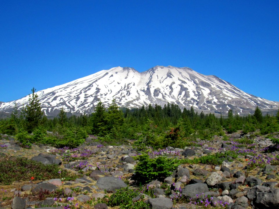 Lahar Viewpoint at Mt. St. Helens NM in WA