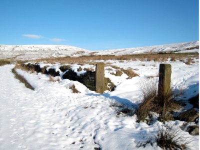 2009 02 10 005-1