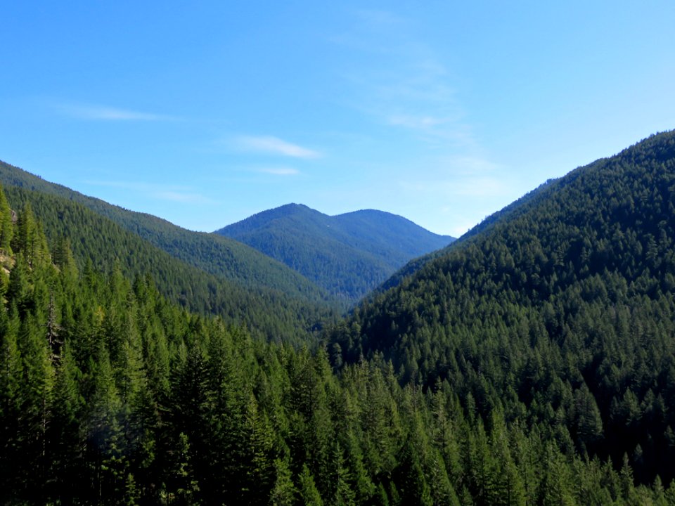 Opal Creek Wilderness in Oregon
