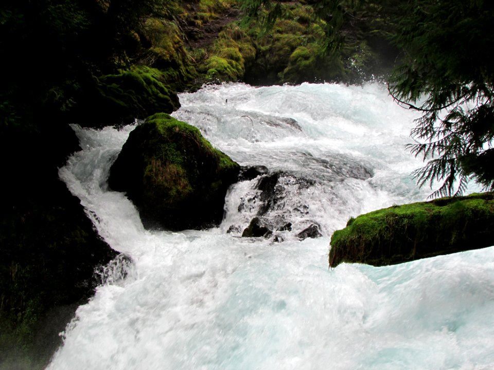 Waterfall at McKenzie River Trail in Central OR