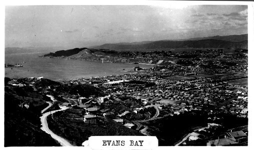 315; Elevated view of Evans Bay - Circa 1935