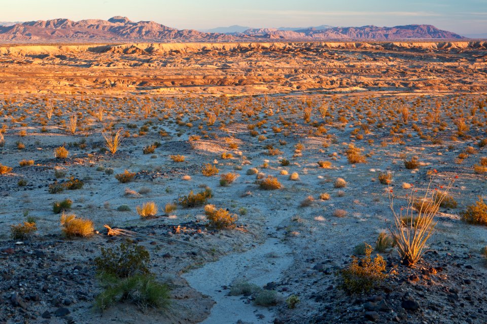 Yuha Desert