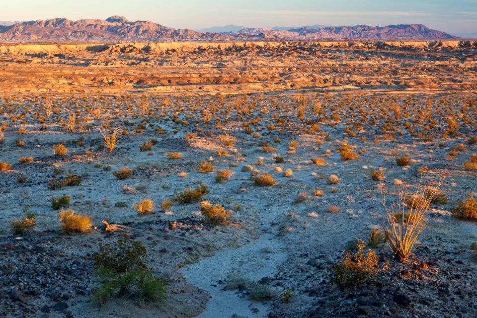 Yuha Desert photo