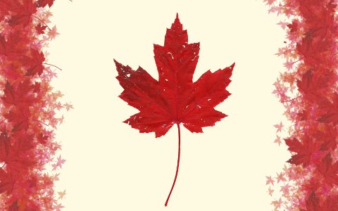 Maple Country