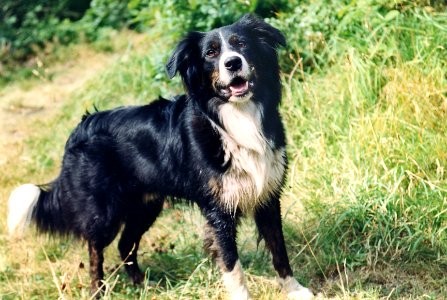 2011 05 10 Bob