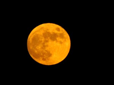 Full Moon in WA 6/25/10 photo