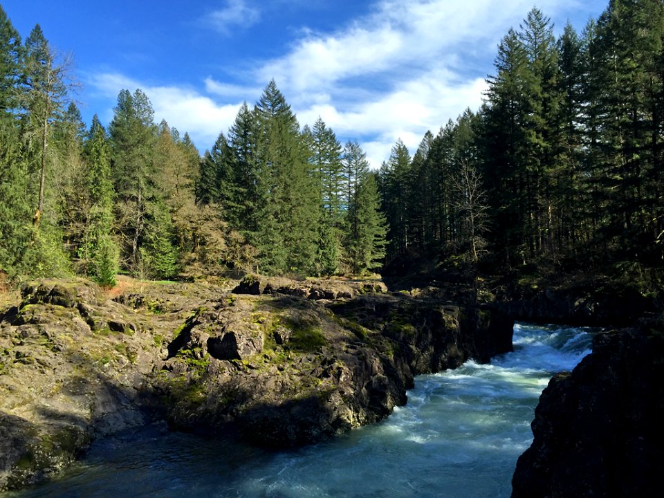 Lucia Falls Park at Lewis River in WA