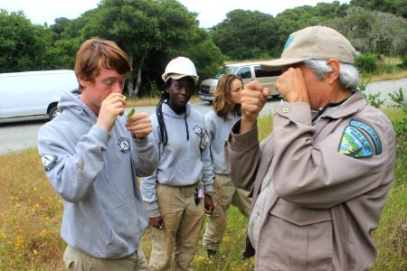AmeriCorps NCCC, Green 1 Service Year with BLM
