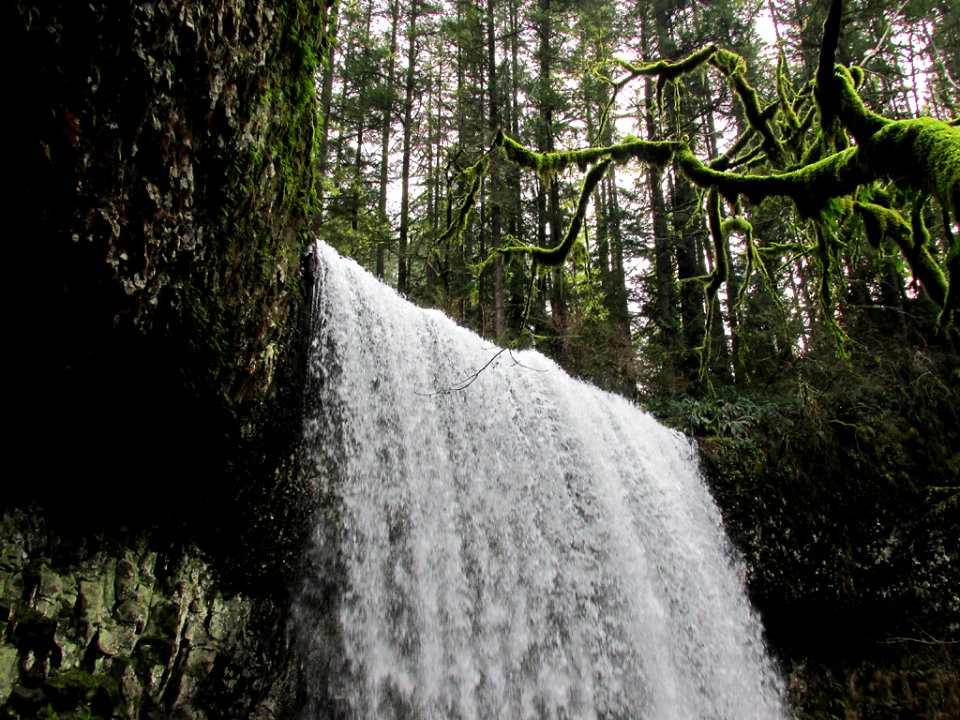 Lower South Falls at Silver Falls SP in Oregon