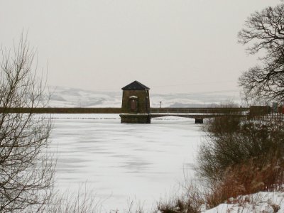 IMG 0062-1 by Tom00la