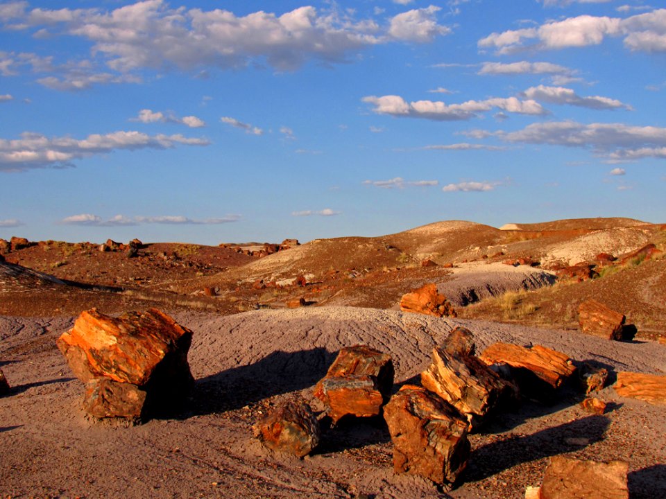 Crystal Forest at Petrified Forest NP in Arizona