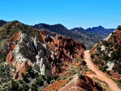 Cottonwood Canyon Road in Utah photo