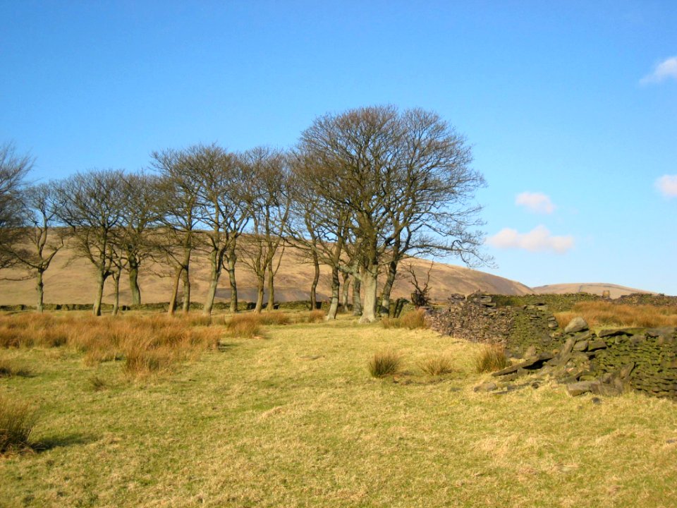 IMG 0553