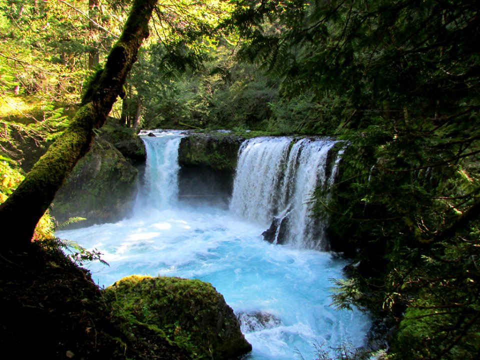 Spirit Falls Trail on Little White Salmon River in WA