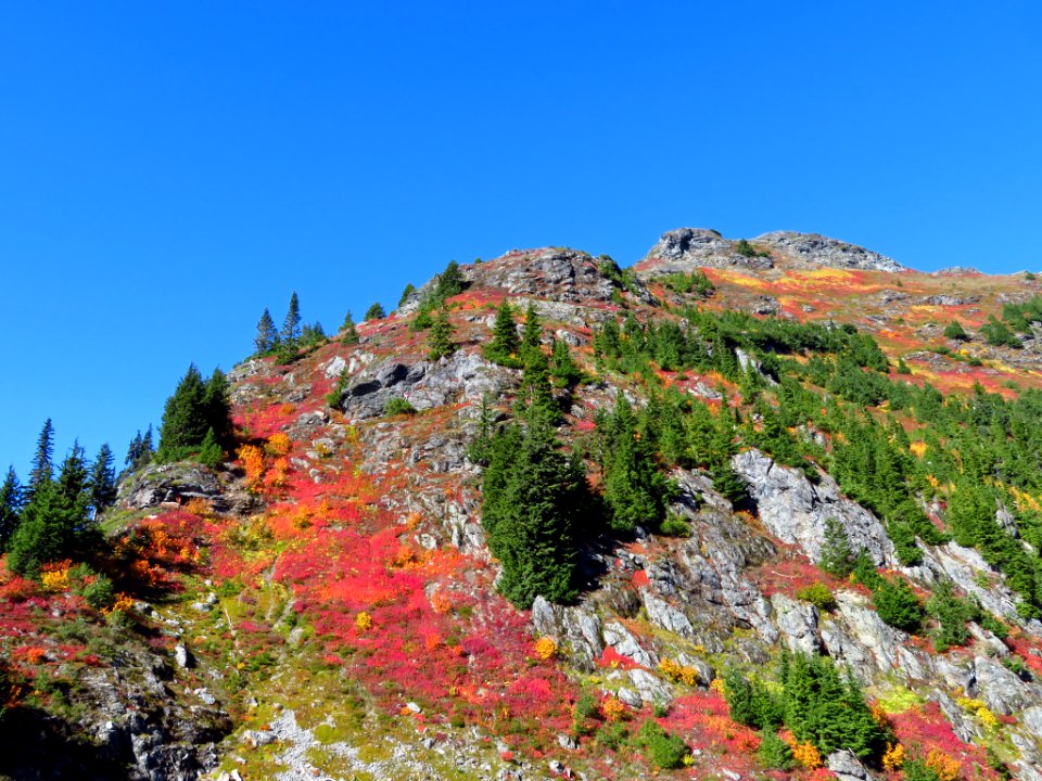 Autumn at Yellow Aster Butte in WA